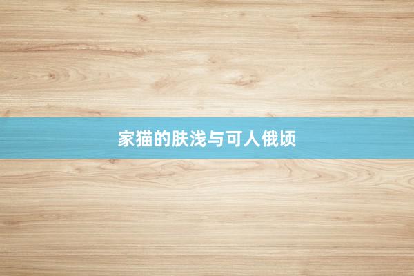 家猫的肤浅与可人俄顷